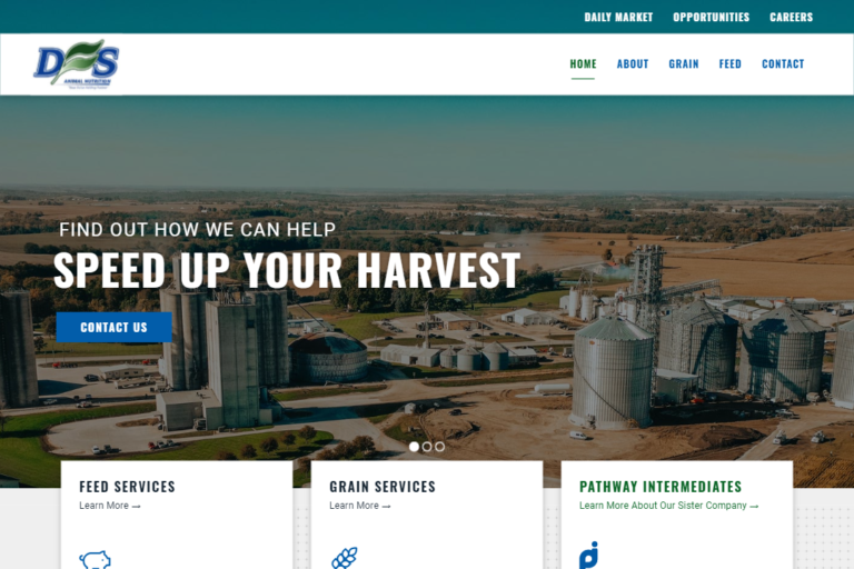 Screenshot of DFS Feed website design