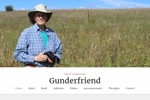 Screenshot of Gunderfriend website design