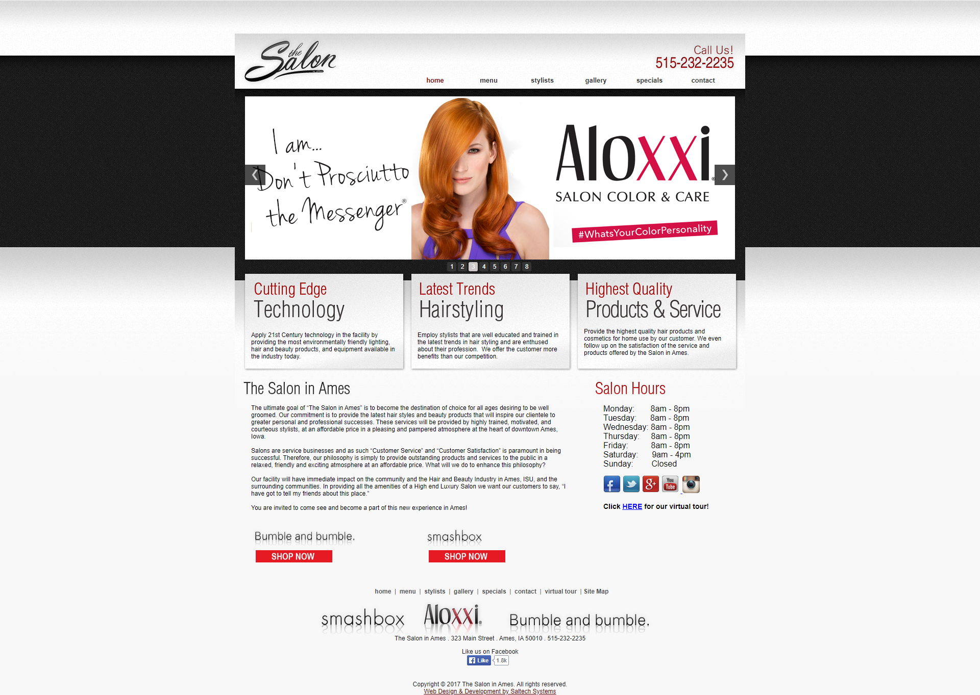 Screenshot of the previous design for the Salon in Ames