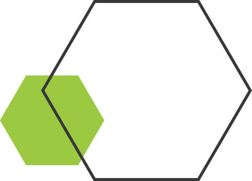 green-solid-gray-outline-hex