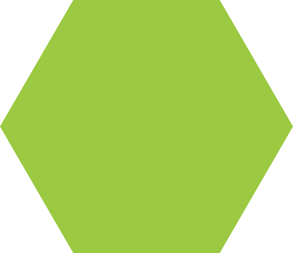 green-solid-hex