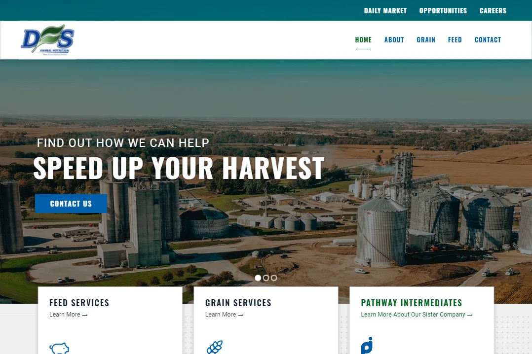 Screenshot of DFS Feed website design