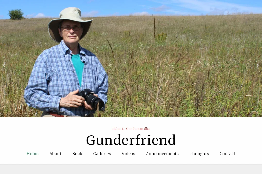 Screenshot of Gunderfriend website design