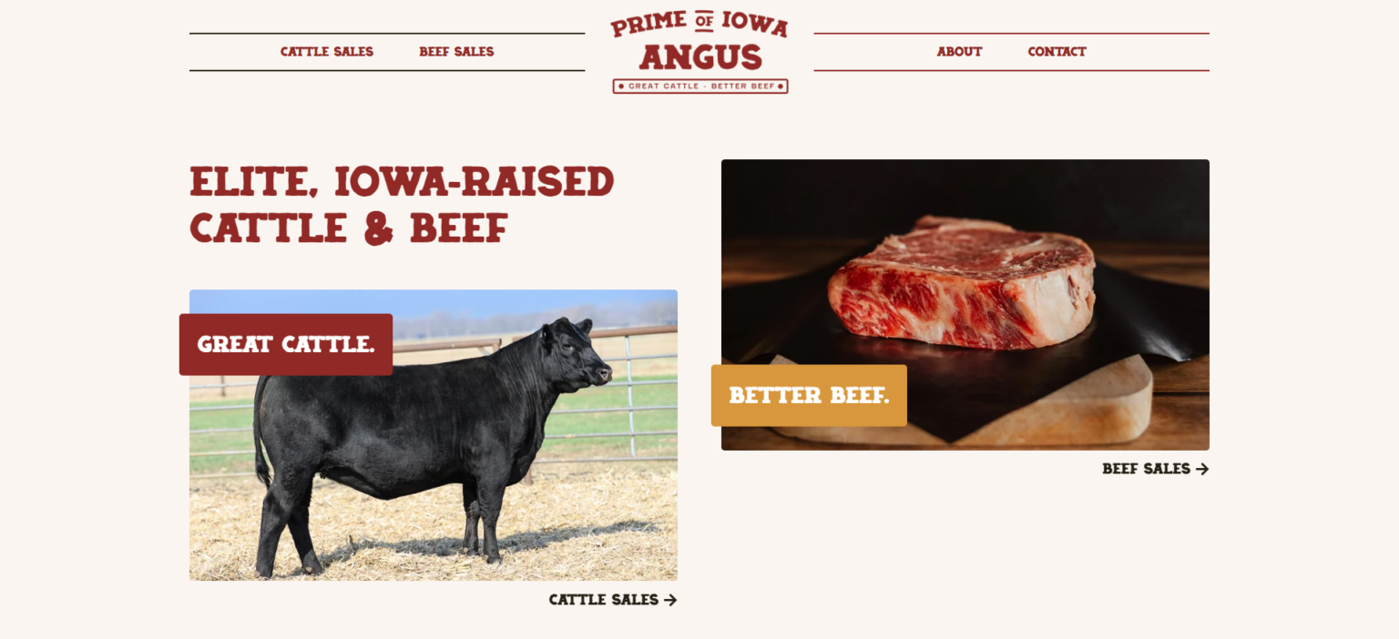 Web Design Project: Prime Of Iowa Angus | Saltech Systems